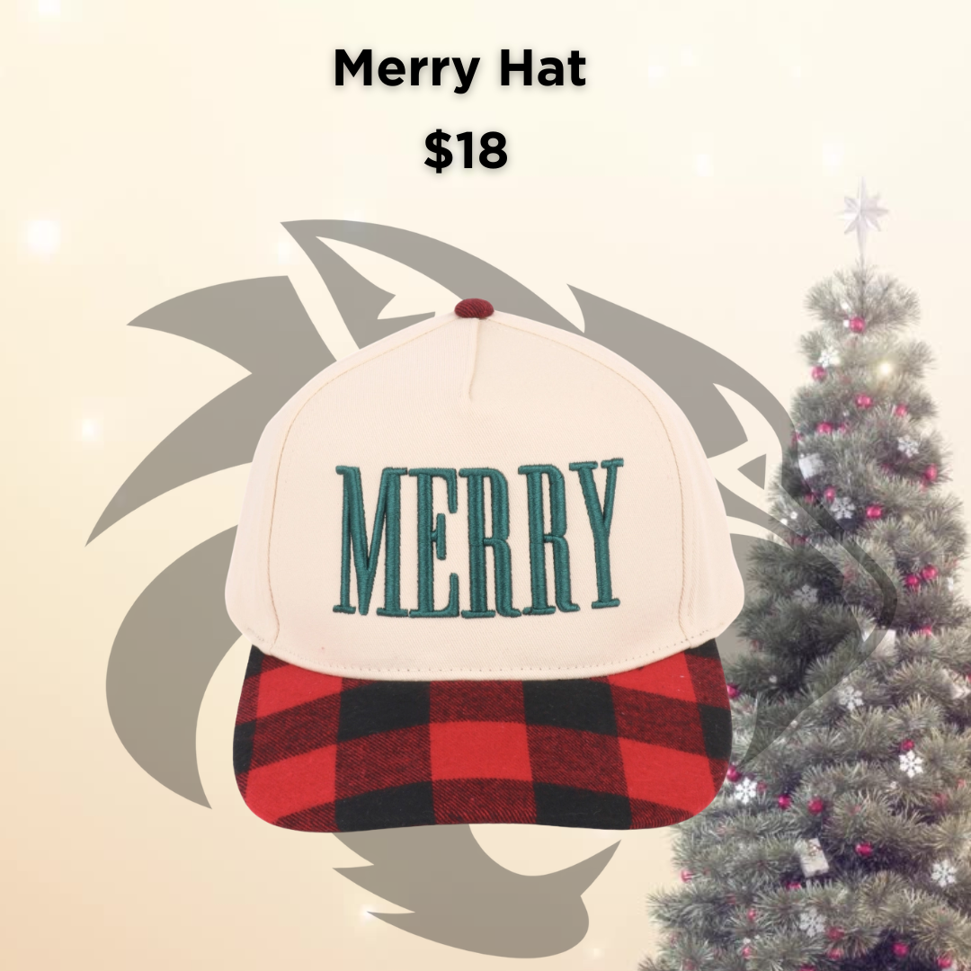 EMF Merry Hat