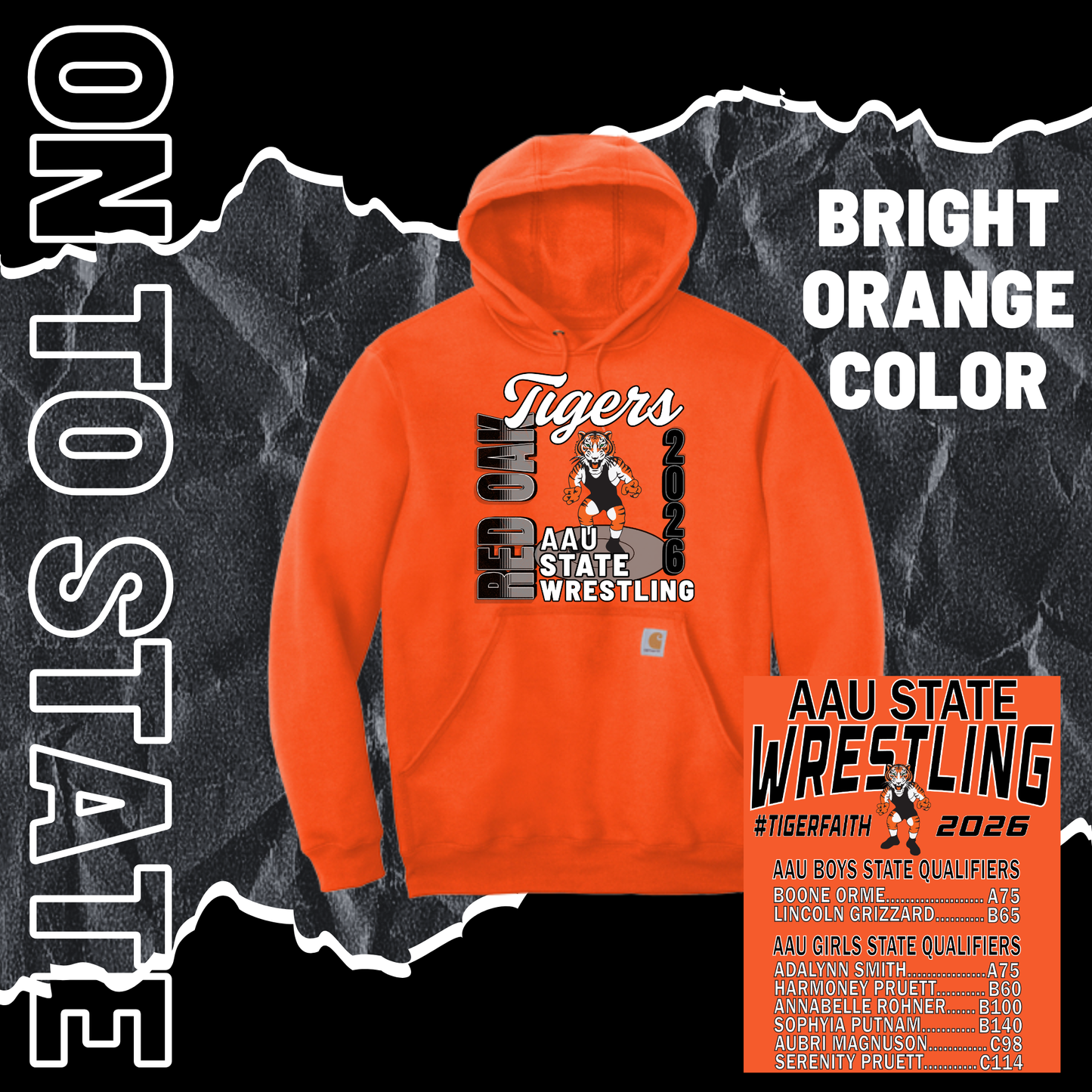 AAUSW26 Carhartt Hoodie