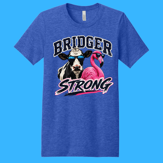 BS BC3001CVC Bella Canvas Bridger Strong T-Shirt - Royal Blue