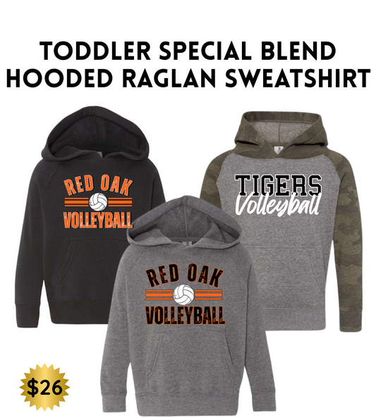 ROVB Independent  Toddler Special Blend Hooded Raglan Sweatshirt